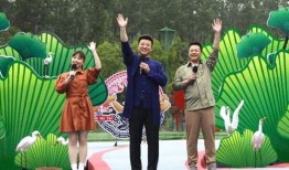 紫砂爆料新闻视频大全最新,最新视频大全揭秘行业秘密与精彩瞬间